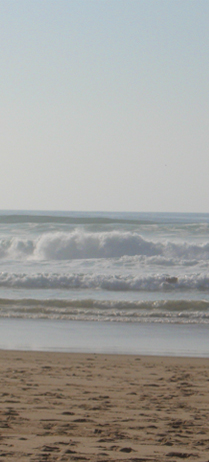 Meer