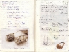 zoellner-anagramme1-31
