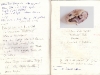 zoellner-anagramme1-43