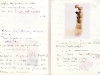 zoellner-anagramme1-54