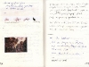 zoellner-anagramme1-80