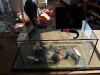 Simulacrum-22-4-2012-005