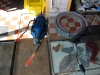 Simulacrum-22-4-2012-007
