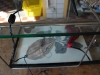 Simulacrum-22-4-2012-008